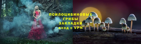 jwh Абаза
