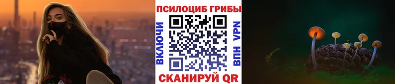 наркотики  Чекалин  Галлюциногенные грибы прущие грибы 
